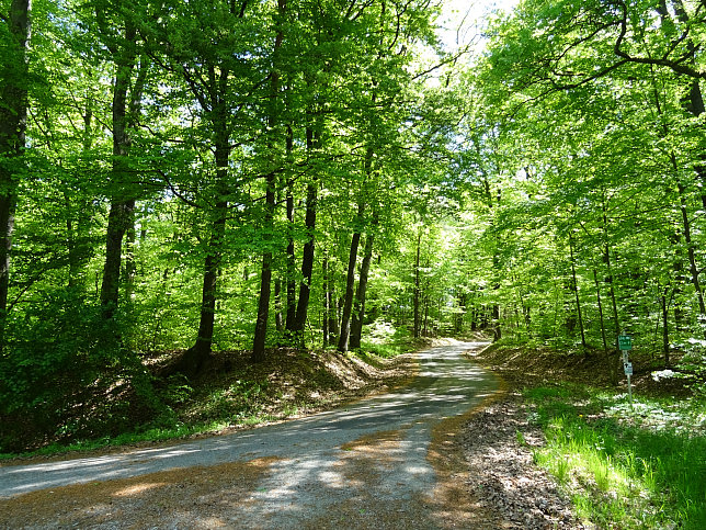 Heiligenbrunn - Wald-Runde