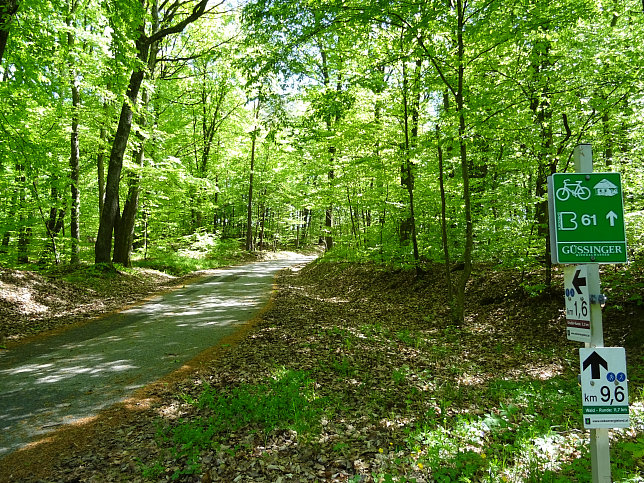 Heiligenbrunn - Wald-Runde