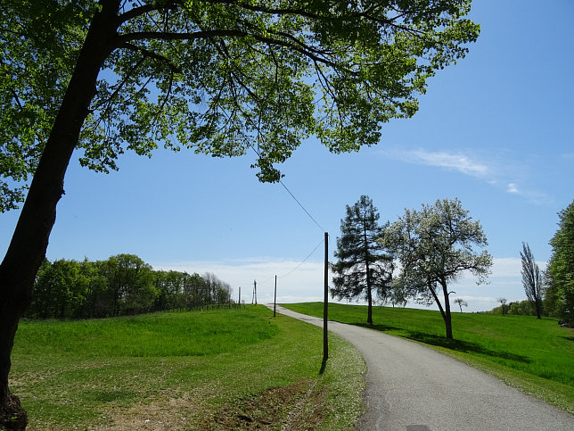 Heiligenbrunn - Wald-Runde