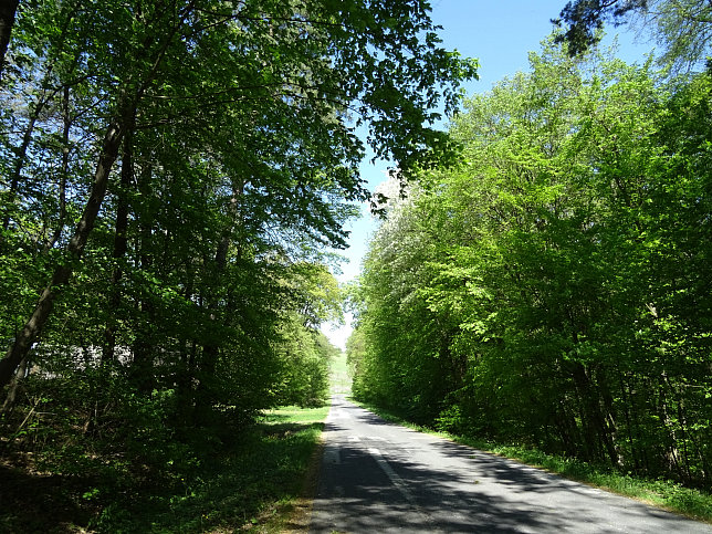 Heiligenbrunn - Wald-Runde