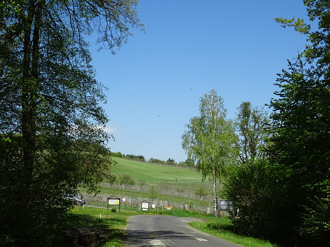 Heiligenbrunn - Wald-Runde