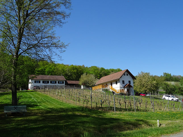 Heiligenbrunn - Wald-Runde