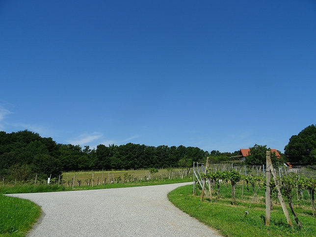 Heiligenbrunn - Zeinerberg-Runde