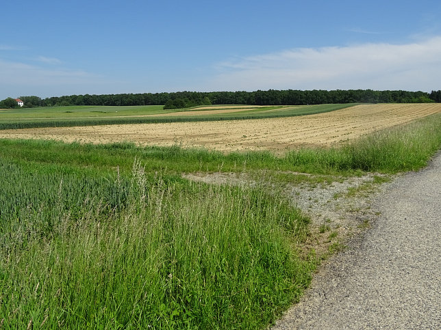 Heiligenbrunn - Zeinerberg-Runde