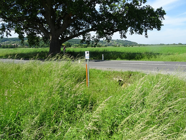 Heiligenbrunn - Zeinerberg-Runde