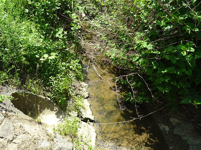 Heiligenbrunn - Zeinerberg-Runde