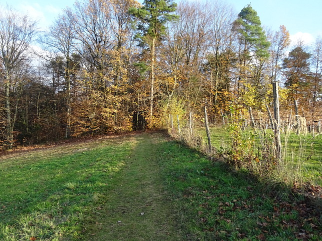 Henndorf - Kapellenwanderweg