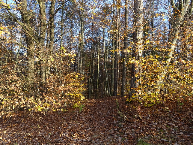 Henndorf - Kapellenwanderweg