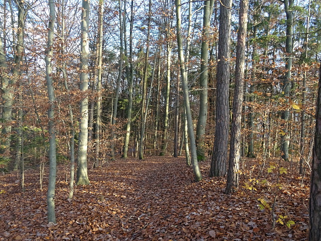 Henndorf - Kapellenwanderweg