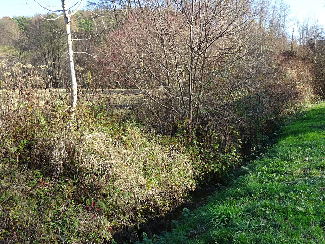 Henndorf - Kapellenwanderweg