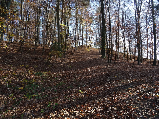 Henndorf - Kapellenwanderweg