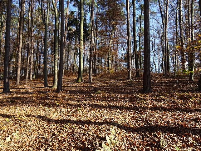 Henndorf - Kapellenwanderweg