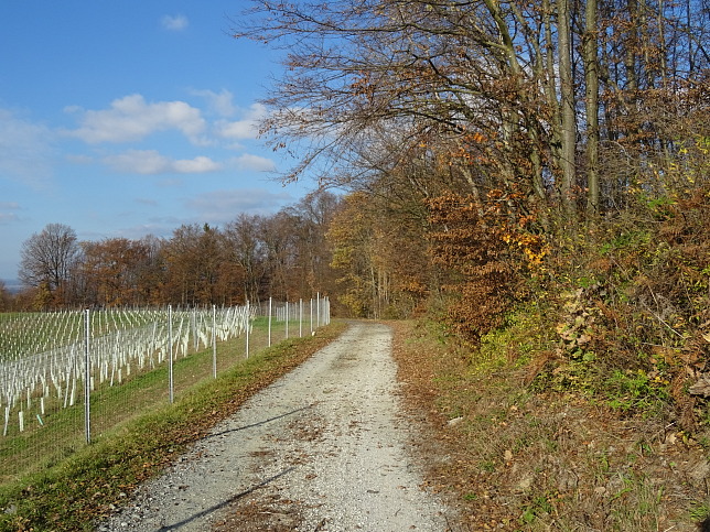 Henndorf - Kapellenwanderweg