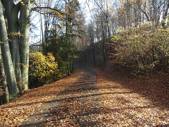 Henndorf - Kapellenwanderweg