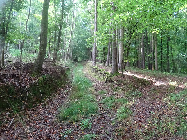 Jennersdorf - Historischer Rundwanderweg