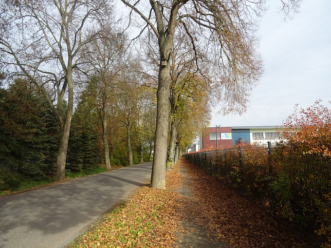 Jennersdorf - Thermenrundwanderweg