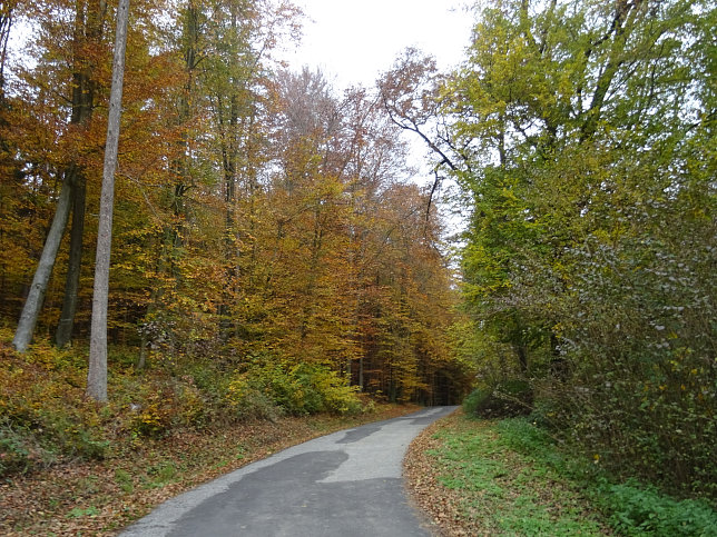 Jennersdorf - Thermenrundwanderweg