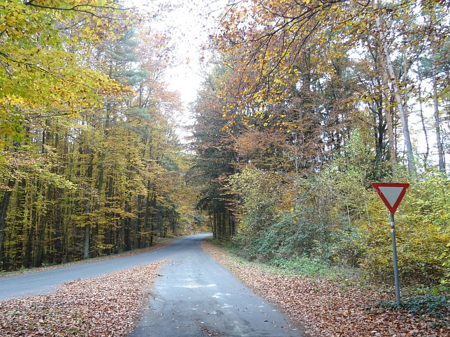 Jennersdorf - Thermenrundwanderweg