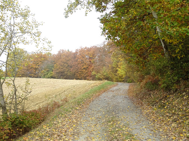 Jennersdorf - Thermenrundwanderweg