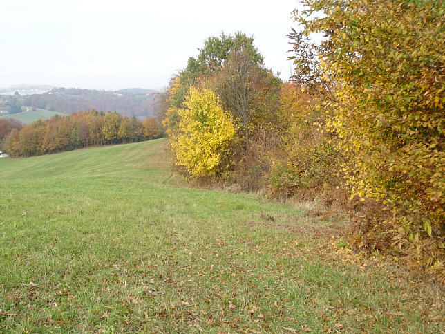 Jennersdorf - Thermenrundwanderweg