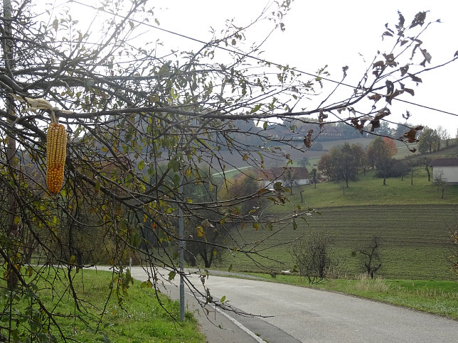 Jennersdorf - Thermenrundwanderweg