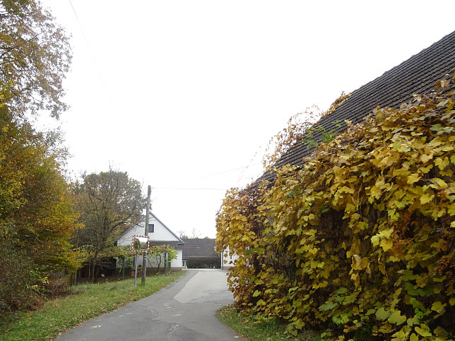 Jennersdorf - Thermenrundwanderweg