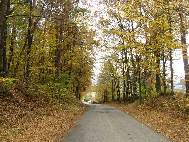 Jennersdorf - Thermenrundwanderweg