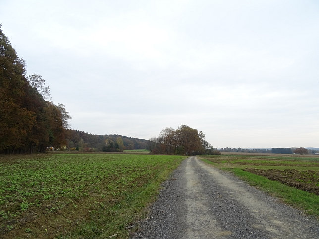 Jennersdorf - Thermenrundwanderweg