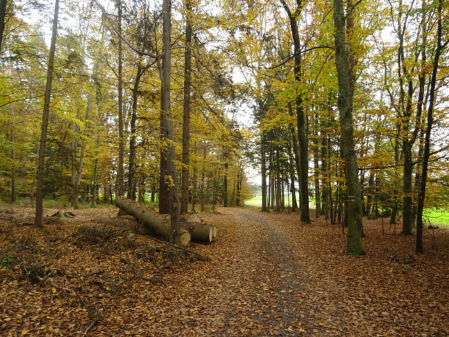 Jennersdorf - Thermenrundwanderweg
