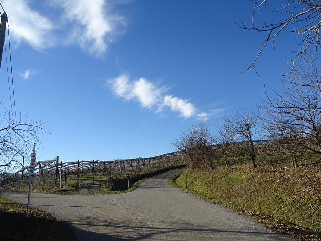 Kukmirn - Rund ums Apfeldorf K1