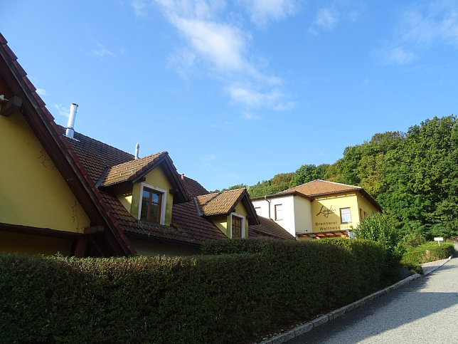 Limbach - Apfelpanorama