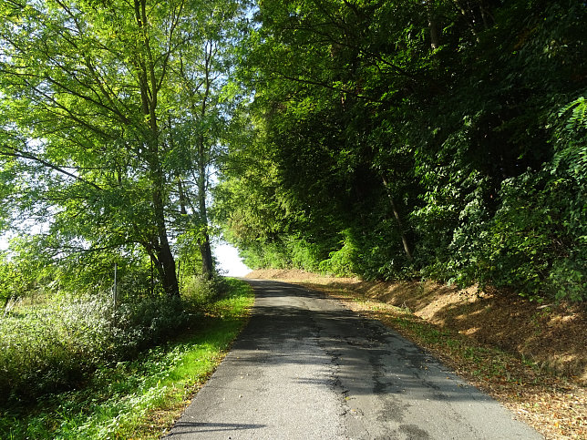 Limbach - Apfelpanorama
