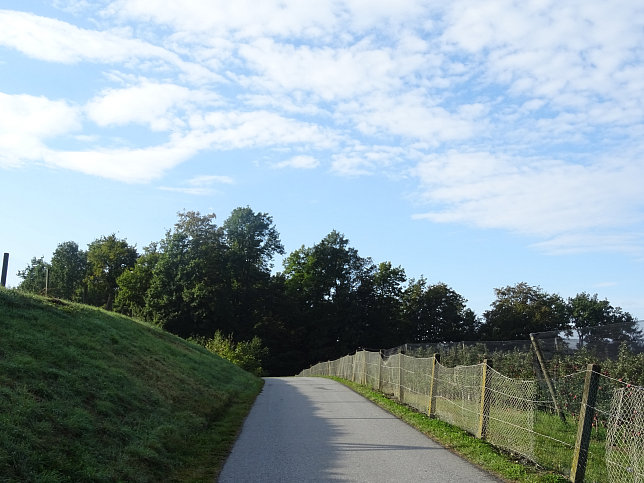 Limbach - Apfelpanorama
