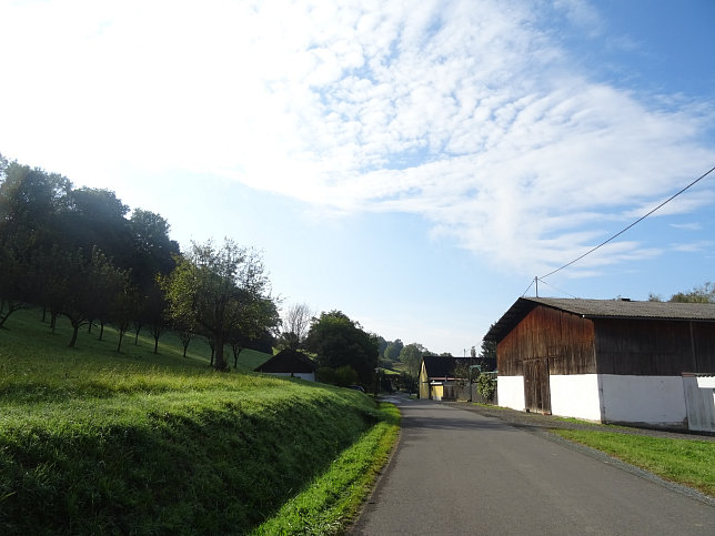 Limbach - Apfelpanorama