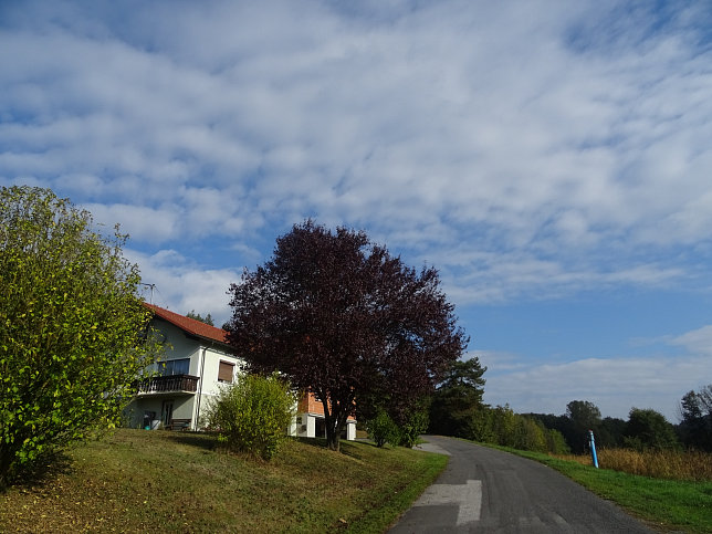 Limbach - Apfelpanorama
