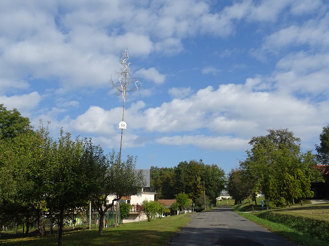 Limbach - Apfelpanorama