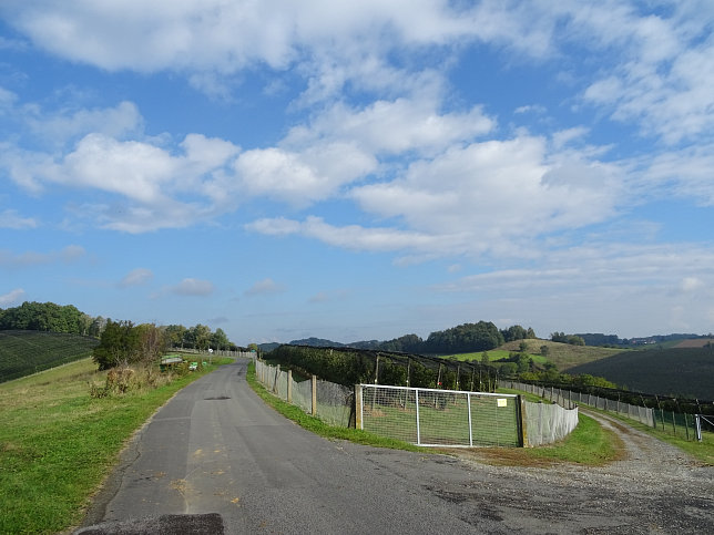 Limbach - Apfelpanorama