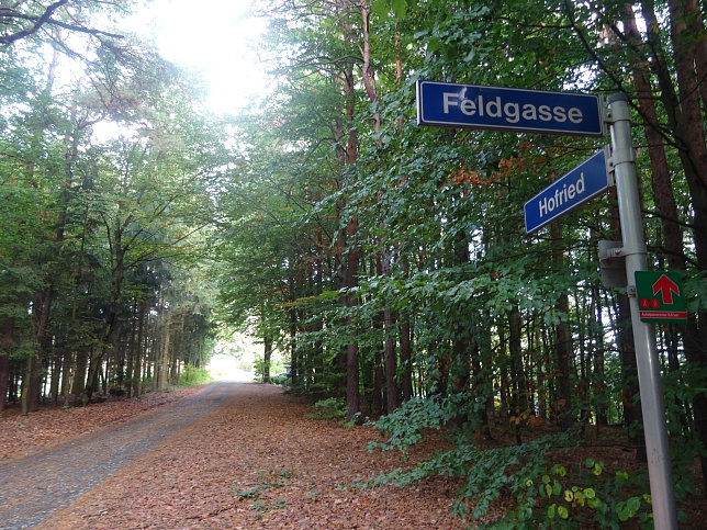 Limbach - Apfelpanorama