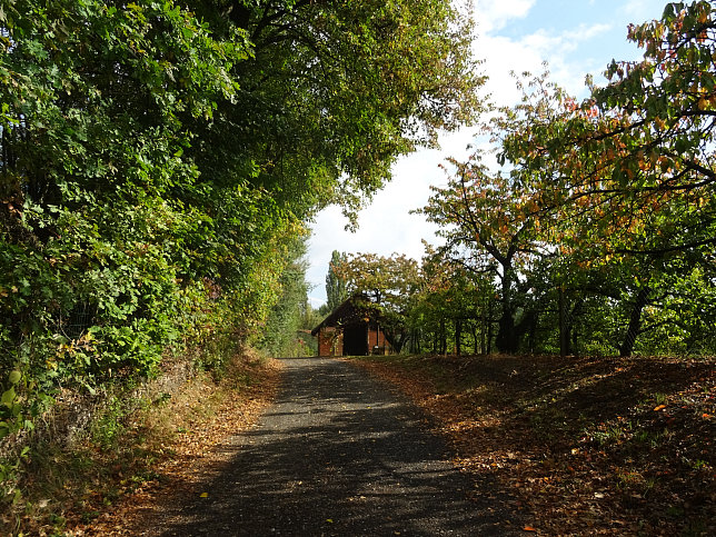 Limbach - Apfelpanorama