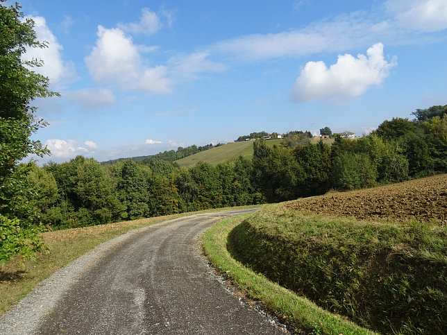 Limbach - Apfelpanorama