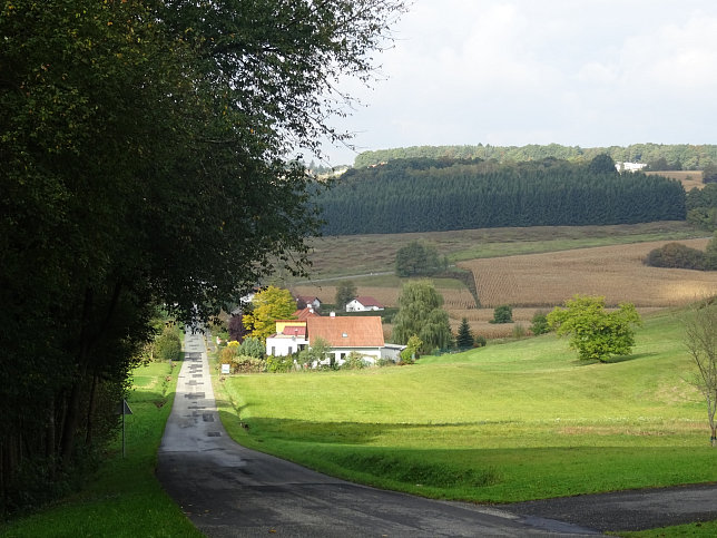 Limbach - Apfelpanorama