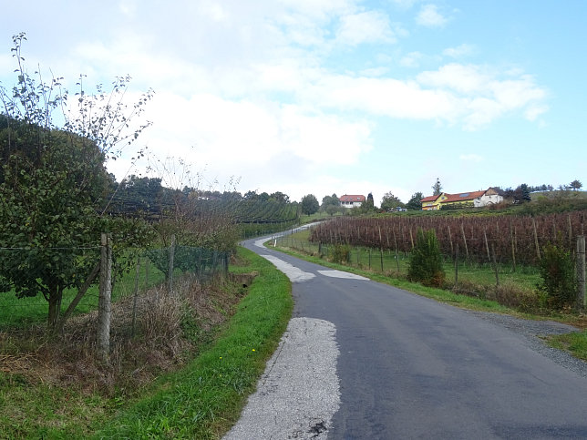 Limbach - Apfelpanorama