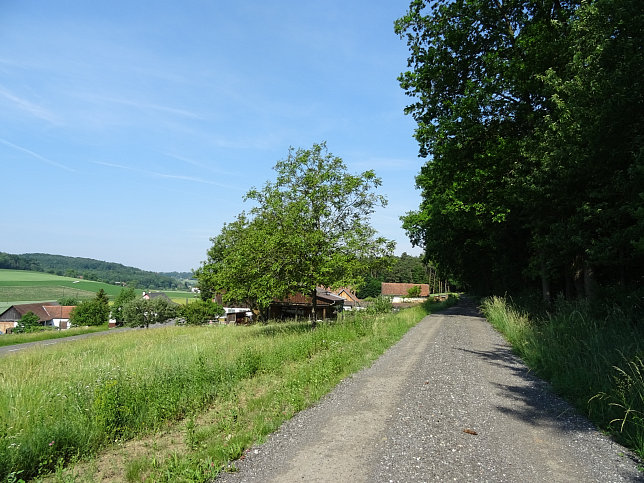 Limbach - Fitnesstour