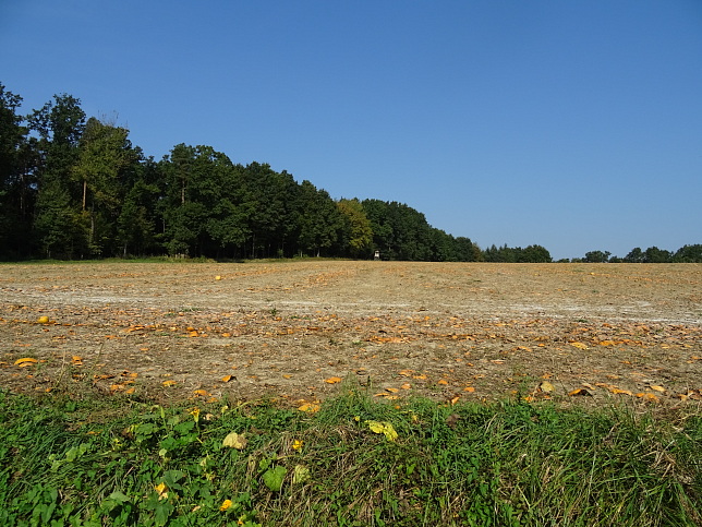 Limbach - Heutalrunde