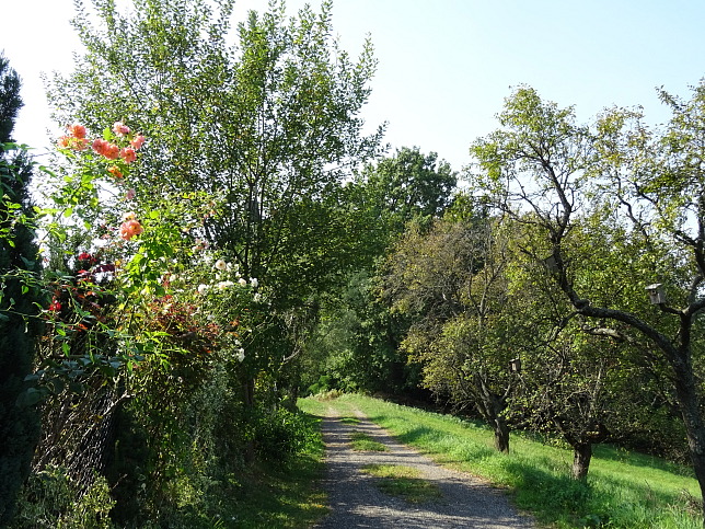 Limbach - Heutalrunde