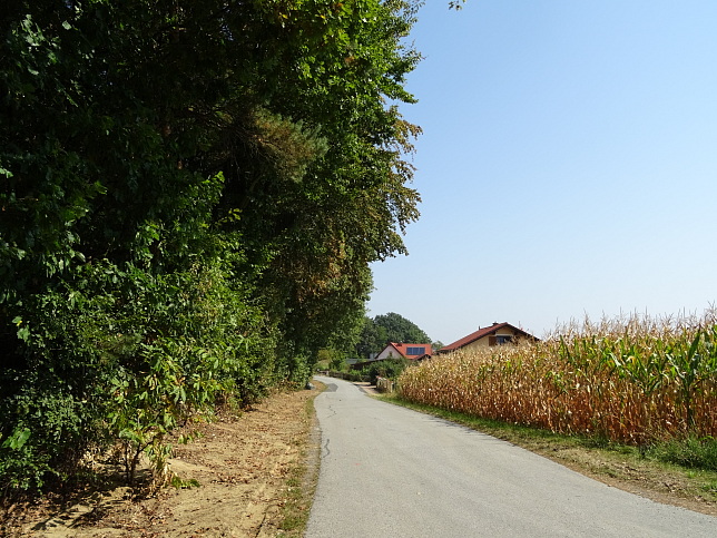 Limbach - Heutalrunde