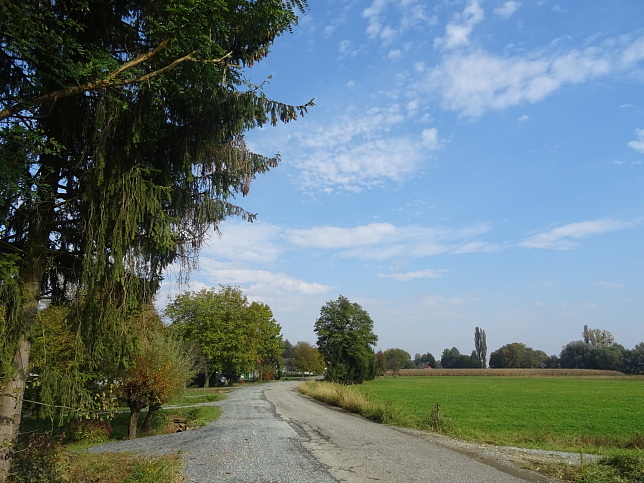 Moschendorf - Rundweg