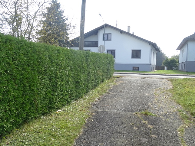 Moschendorf - Rundweg