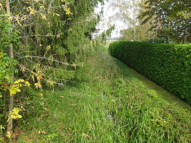 Moschendorf - Rundweg