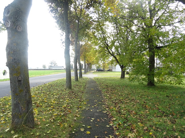 Moschendorf - Rundweg